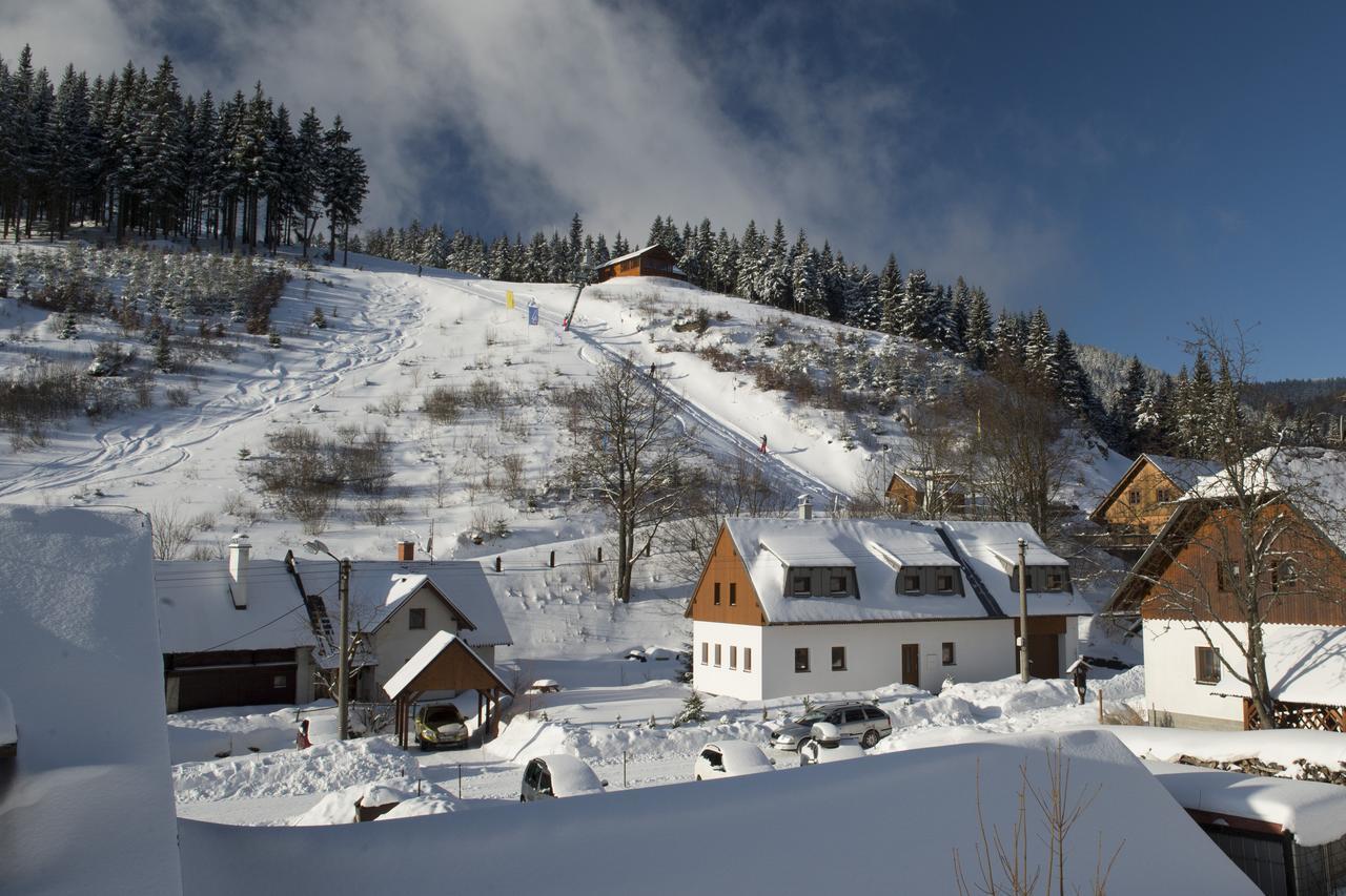 Penzion Skiland Petříkov Hotell Exteriör bild